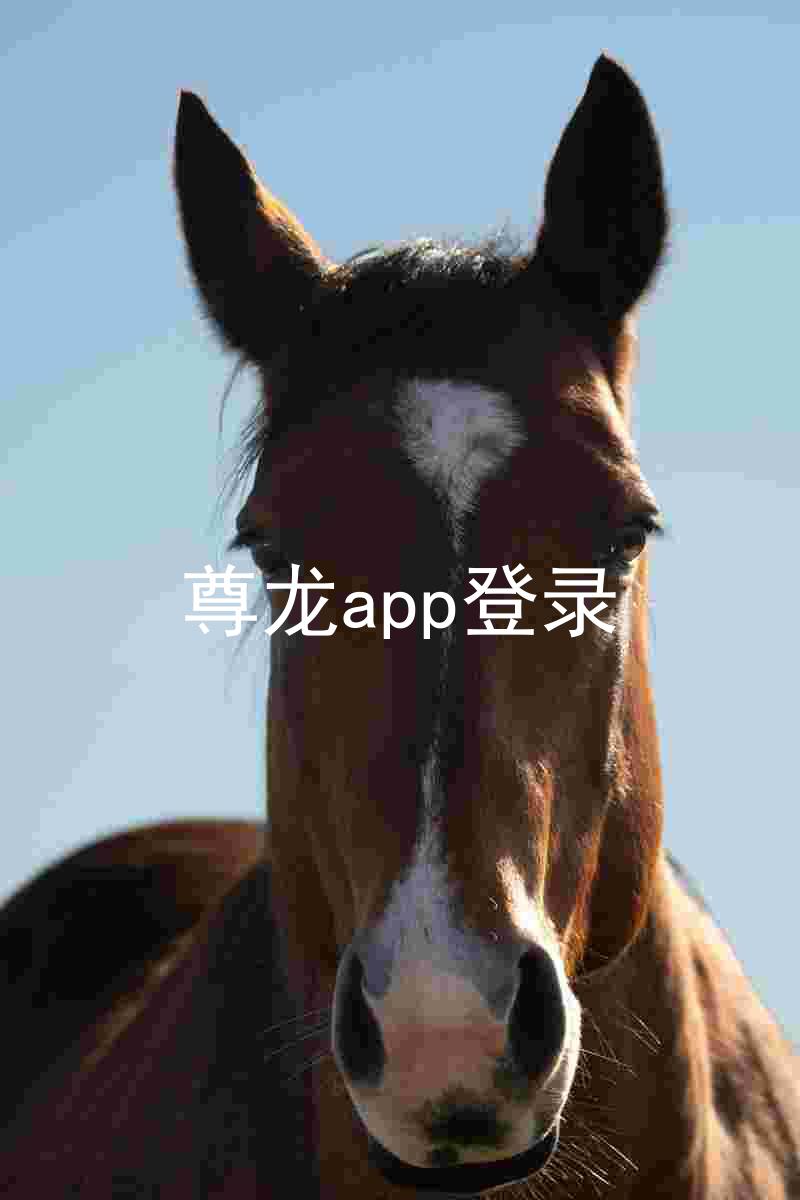 尊龙app登录