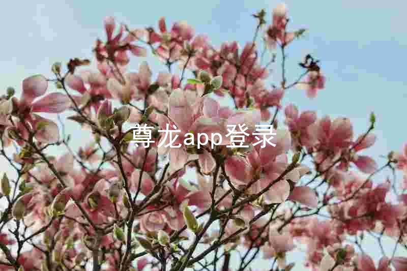 尊龙app登录