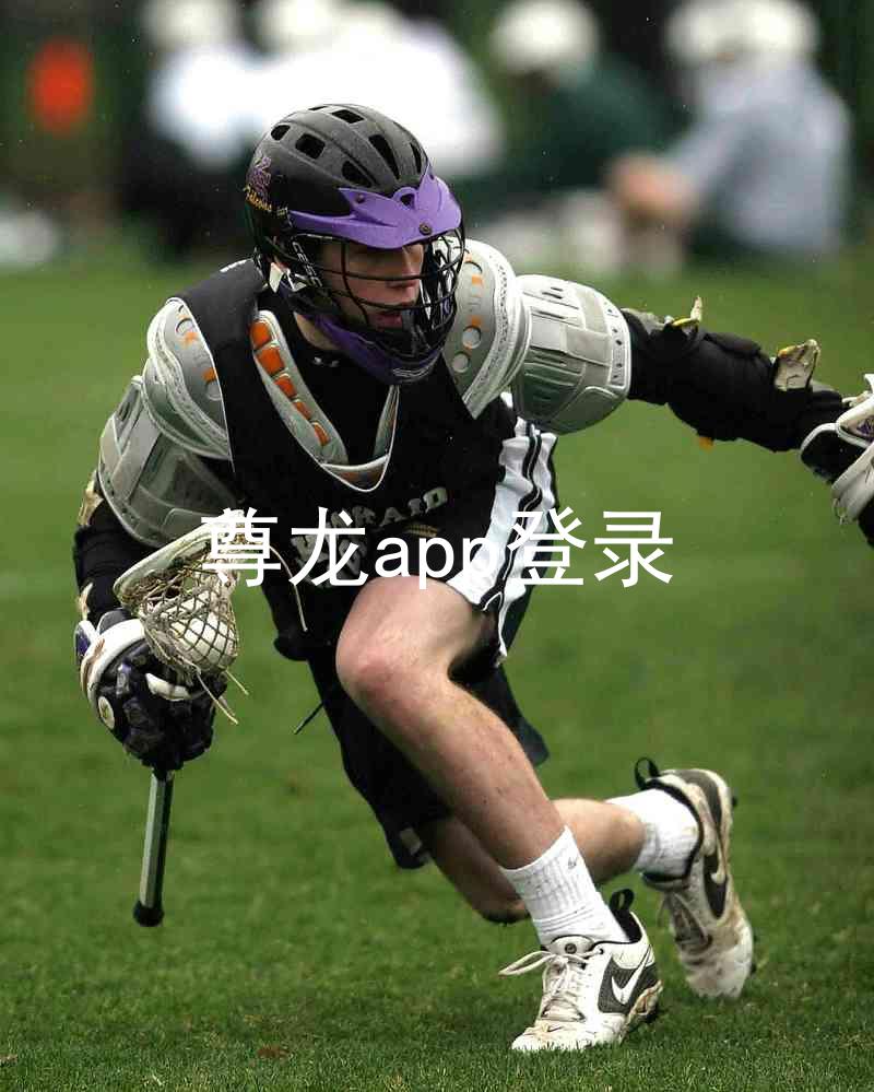 尊龙app登录